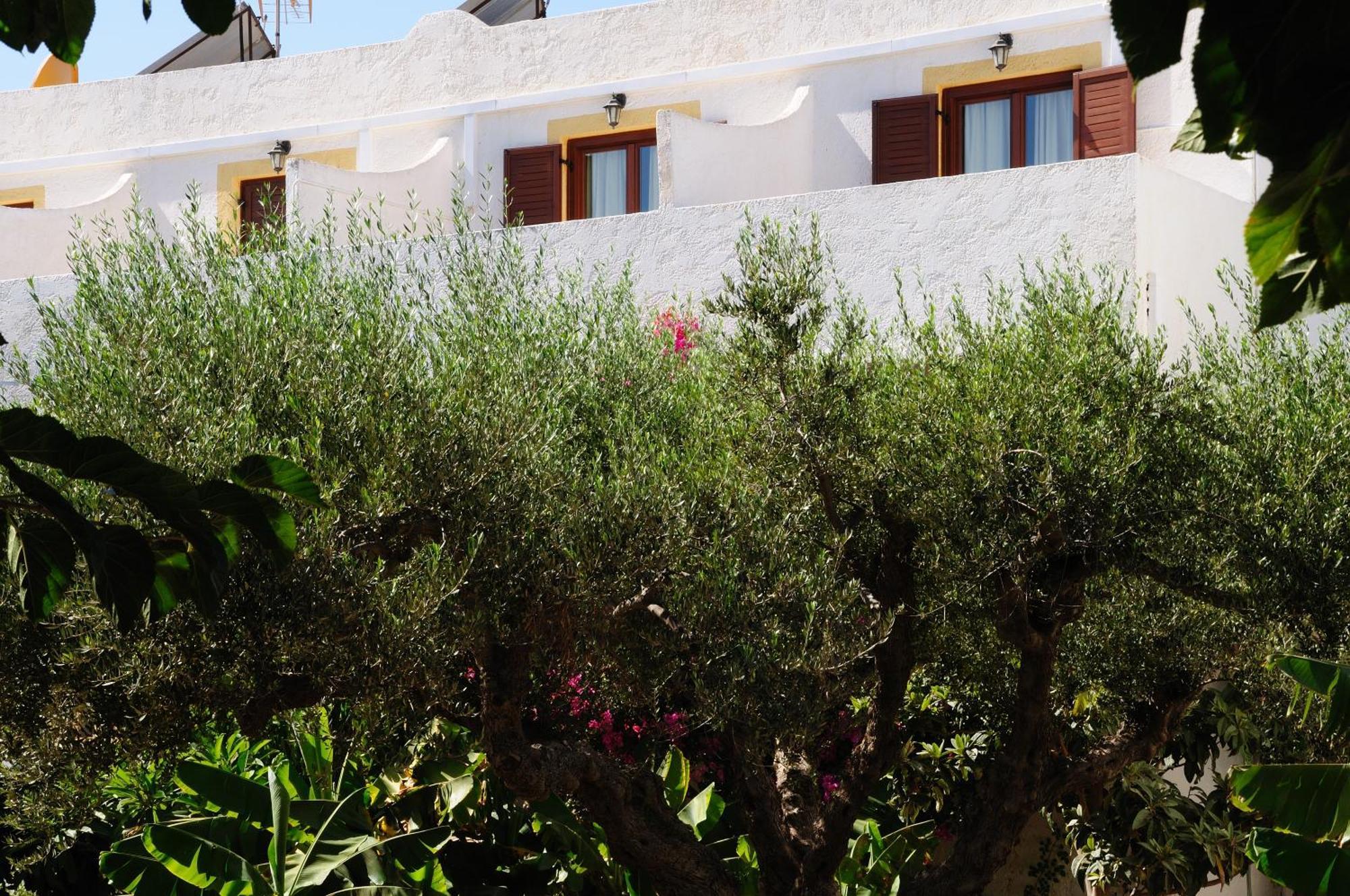 Hotel Marina Village Sitia  Exteriör bild