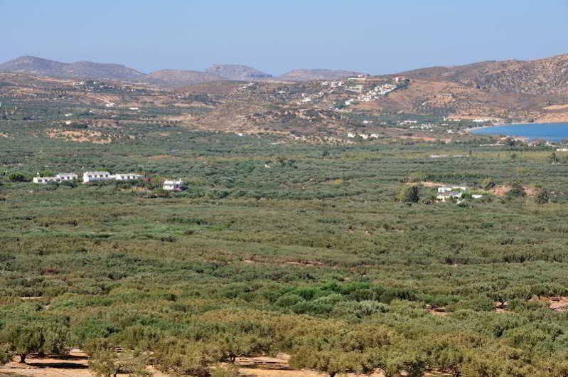 Hotel Marina Village Sitia  Exteriör bild